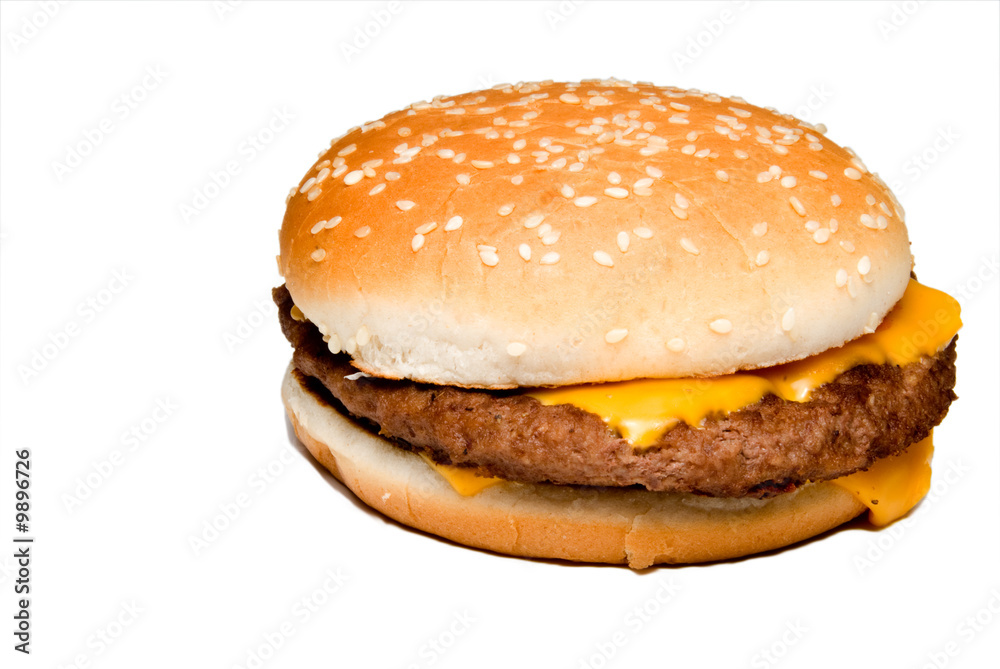 An all American classic cheeseburger on a sesame seed bun.