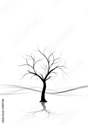 vecteur série - arbre nu en hiver - naked winter tree on white