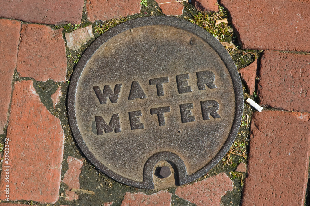 City Water Meter Lid in Street