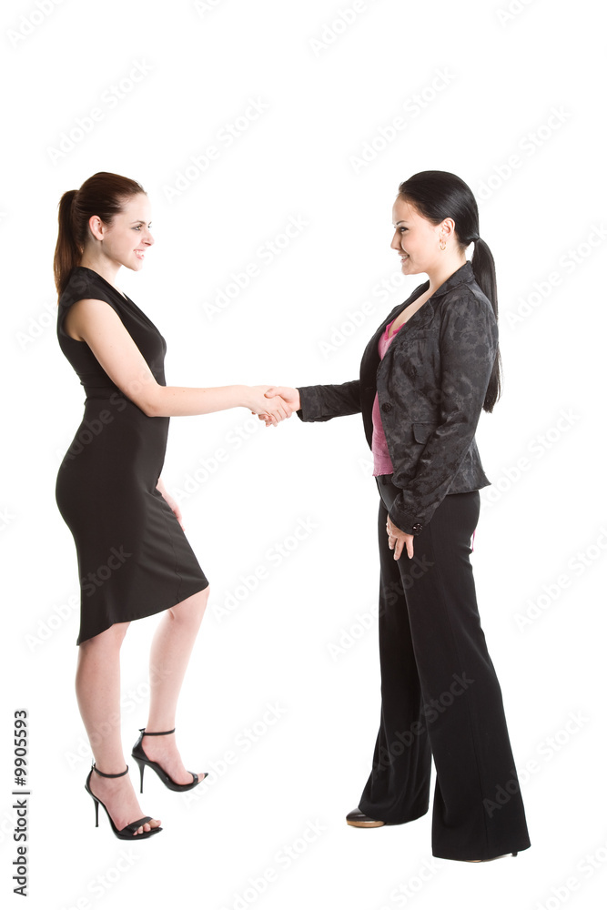 An isolated shot of two businesswomen shaking hands An isolated shot of two businesswomen shaking hands
