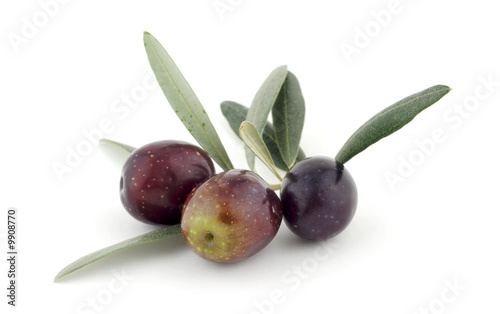 Olivas con hojas
