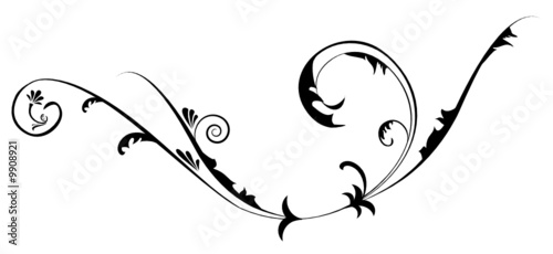 ornaments vector design