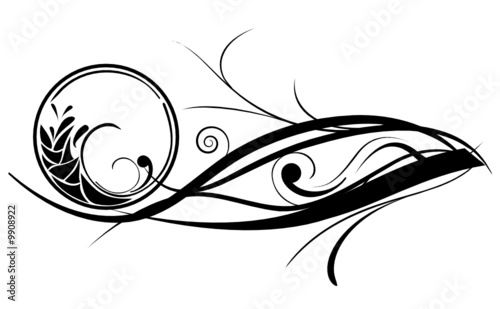 vector ornaments design