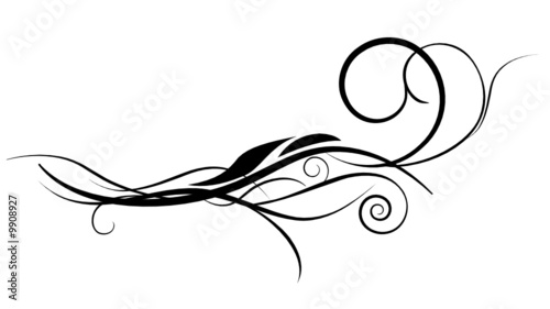 vector ornament design