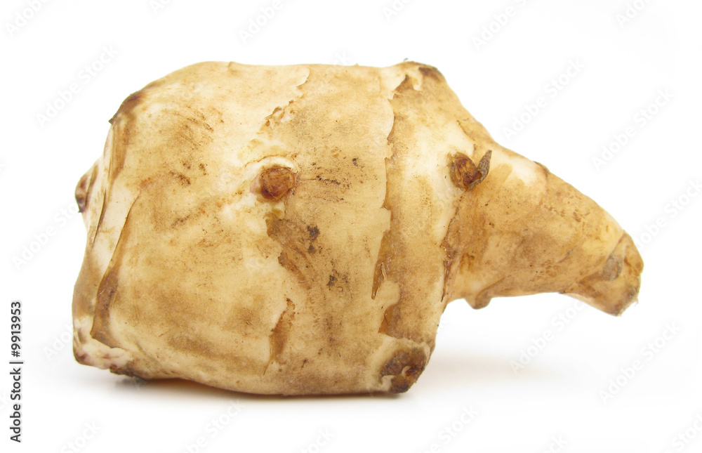 Fototapeta premium Jerusalem artichoke sunroot sunchoke tuber