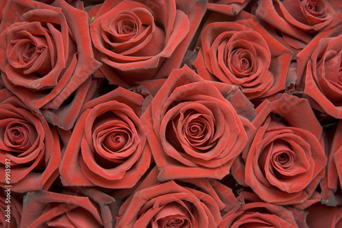Close up View Of Bunch Of Red Roses