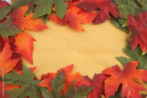 autumn leaf background or border frame