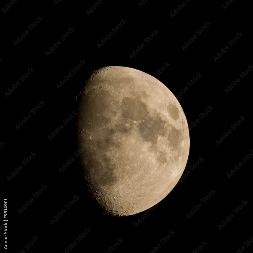 Obraz premium 上弦の月