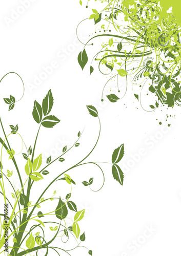 tige et feuille verte