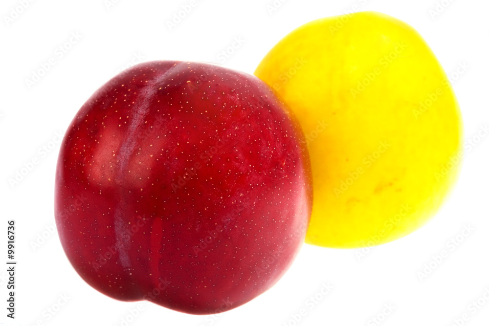 two big plums isolated on the white background two big plums isolated on the white background