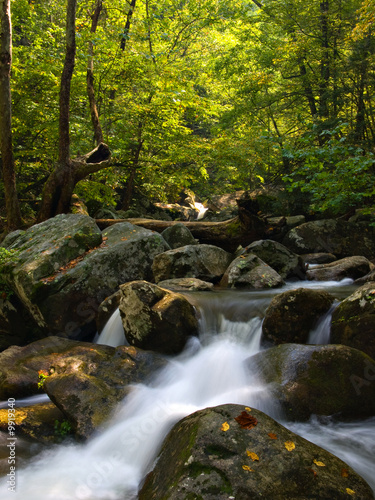 A small mountain stream at the beginning of fall