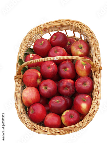 basket with delicious apples isolated