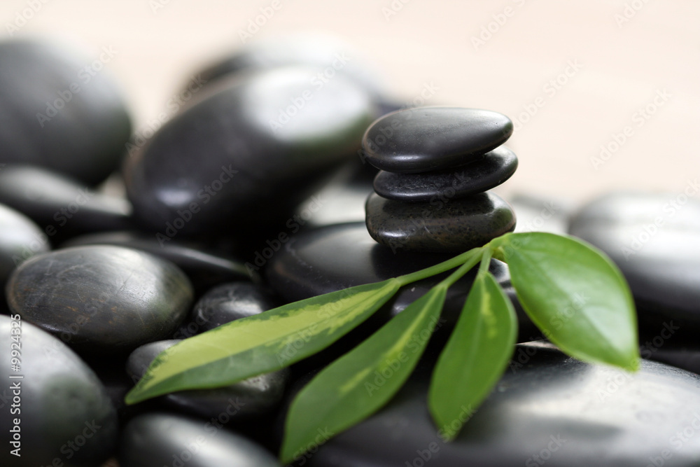 black pebbles and green leaves - beauty treatment black pebbles and green leaves - beauty treatment