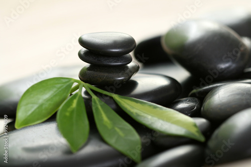 black pebbles and green leaves - beauty treatment