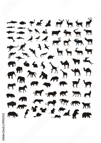 big collection of vector silhouettes of various animals © a_elmo
