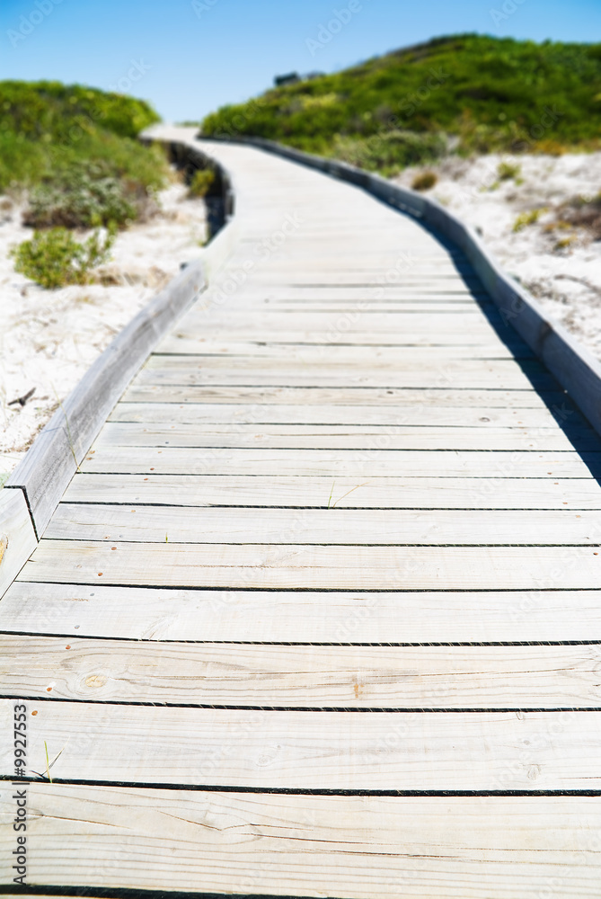 Fototapeta premium Wooden foodpath through dune