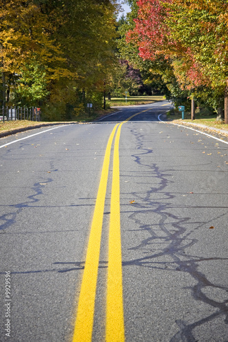 An empty road with diminishing perspective during the fall