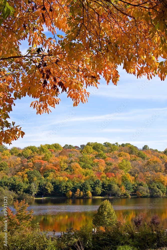 Scenic scene with autumn trees set against a wooded lake