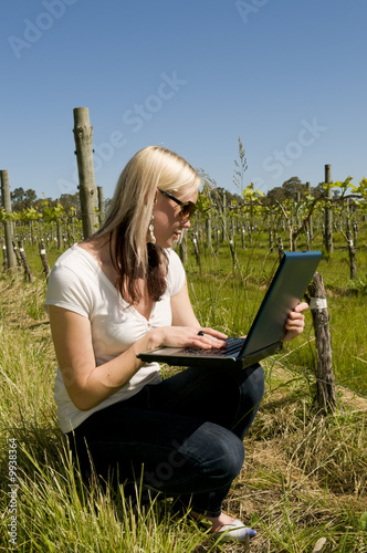 Woman Checking Vineyard progress and recording details on laptop