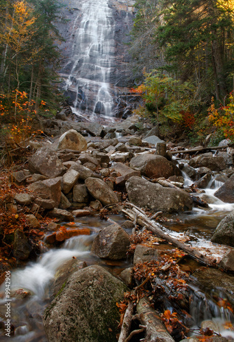 Arethusa Falls in the White Mountains of New Hampshire