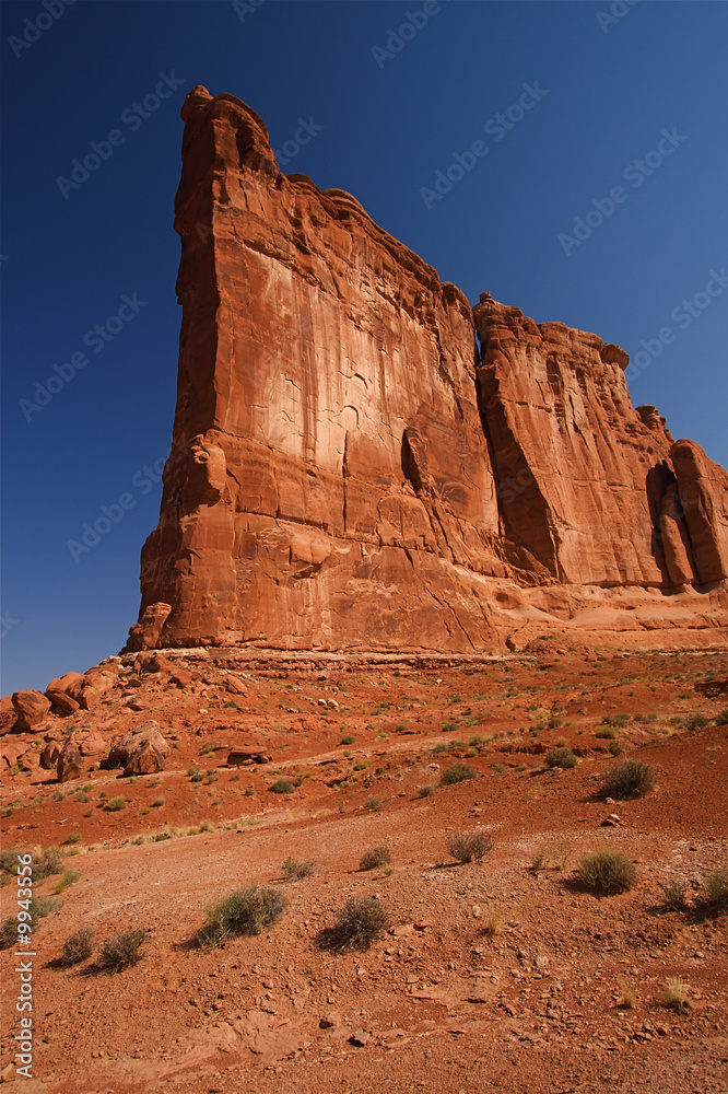 Fototapeta premium Natural red rocks at Arches National Park in Utah USA