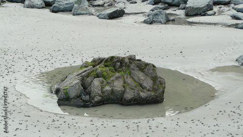 rocher à moule sauvage 08618 photo