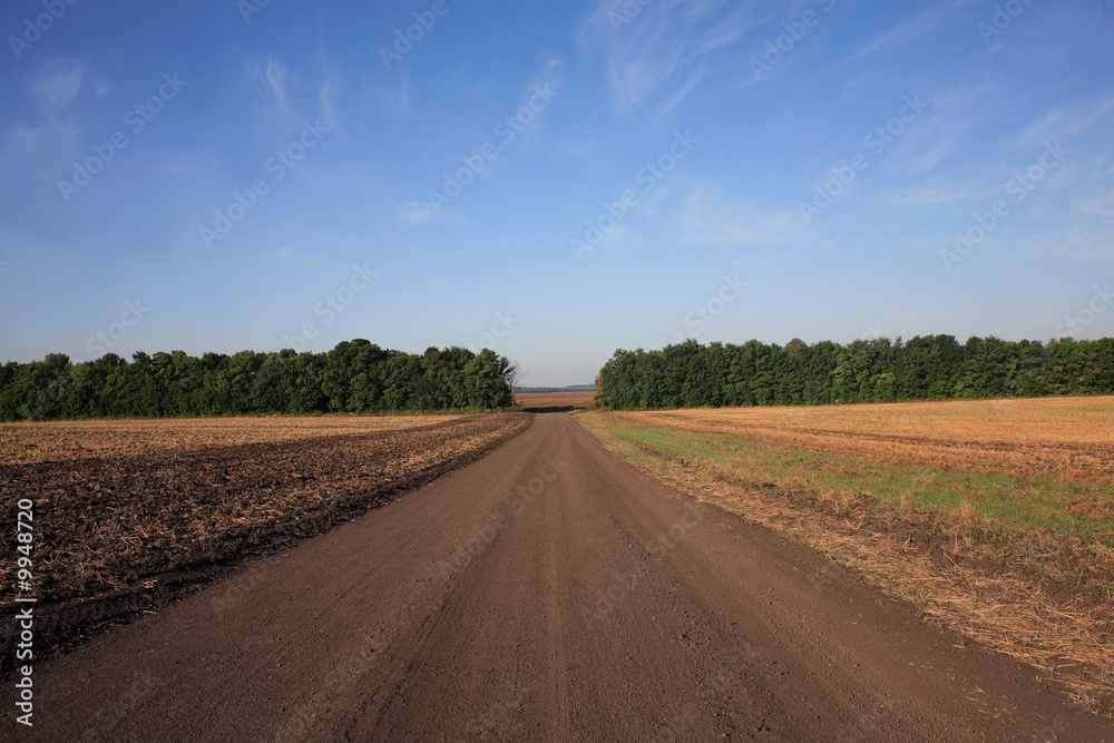 Road of the farmer Road of the farmer