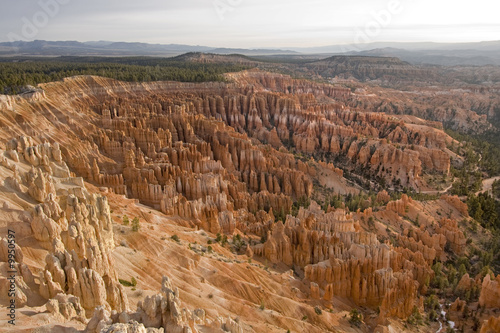 Dawn in Bryce Canyon, Utah