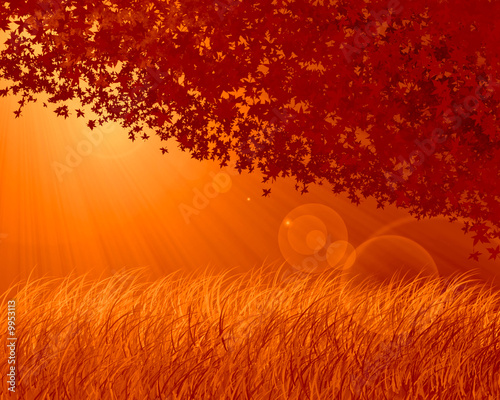 Abstract forest background,...