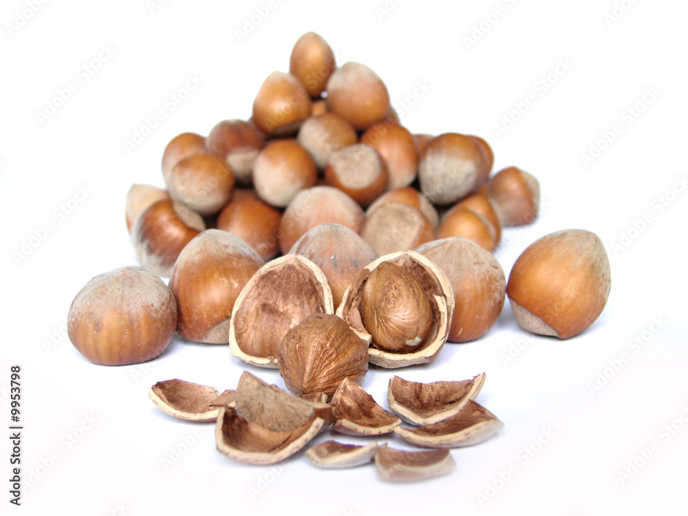 hazelnut hazelnut