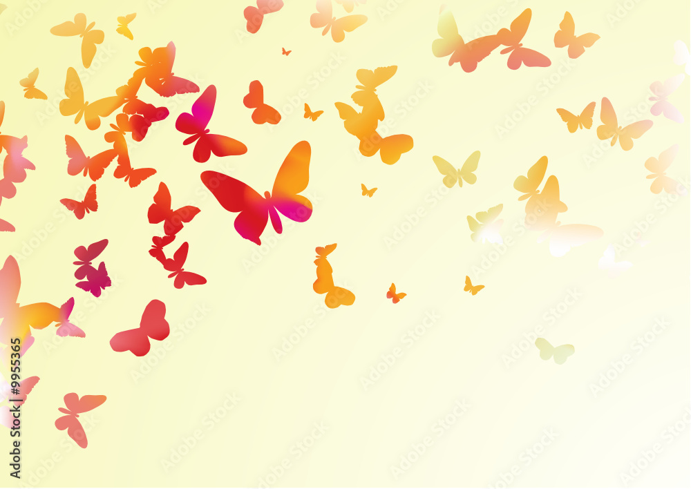 Fototapeta premium many colorful butterflies of different forms flying around