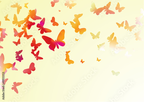 many colorful butterflies of different forms flying around
