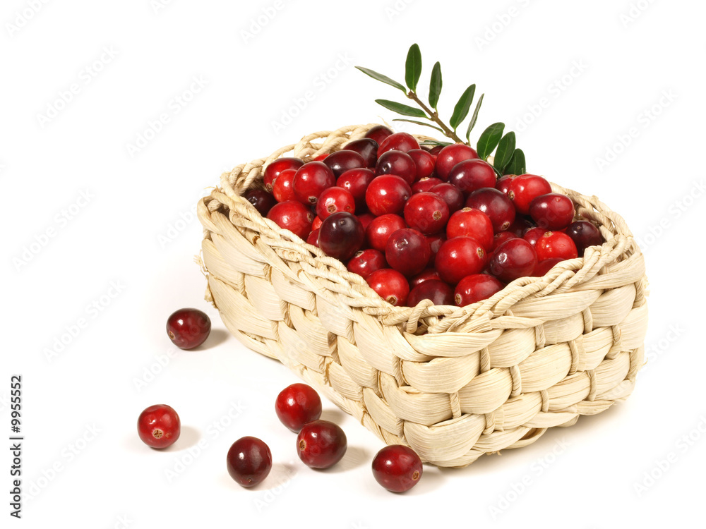 Preiselbeeren im Korb Preiselbeeren im Korb