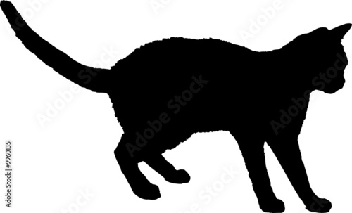 silhouette chat