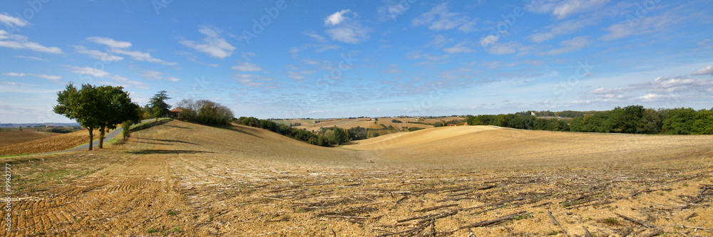 collines et champs collines et champs