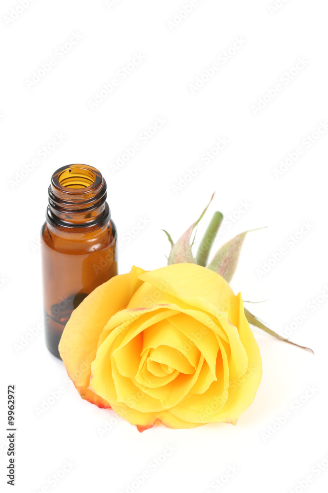 bottle of essential oil and beautiful rose isolated bottle of essential oil and beautiful rose isolated
