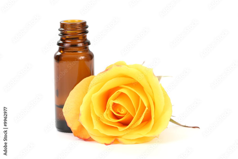 bottle of essential oil and beautiful rose isolated bottle of essential oil and beautiful rose isolated