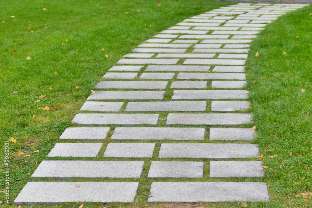 Flagstone walkway on a grassy field Flagstone walkway on a grassy field