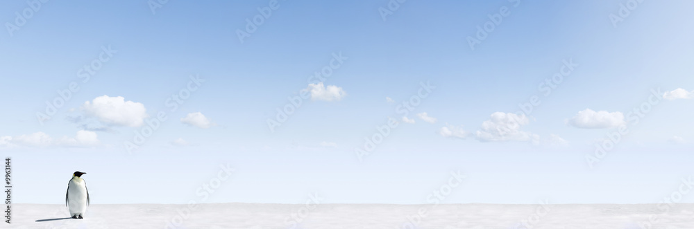Obraz premium Penguin in a snow landscape, panorama image