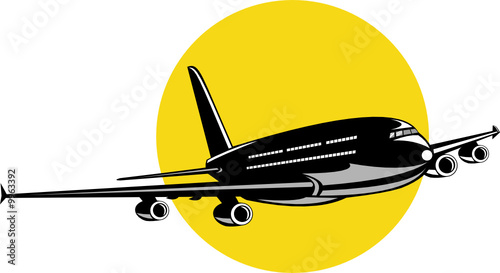 Airplane in flight