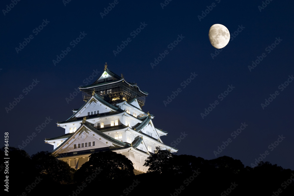 Obraz premium Zamek w Osace