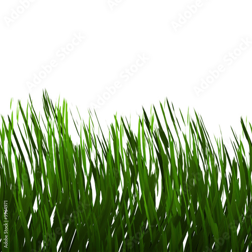 Green grass isolated over white - tiles seamlessly as a pattern.