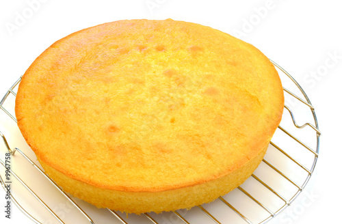 One vanilla cake layer cooling isolated on white
