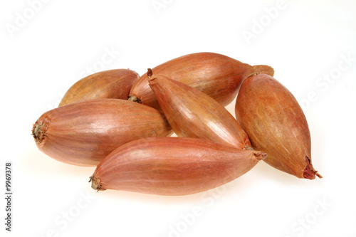 Shallot or scallion or griselle - vegetables similar to onion