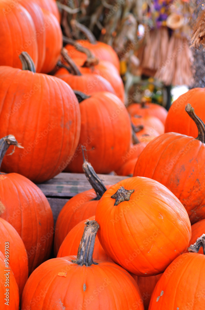 Pumpkins Pumpkins