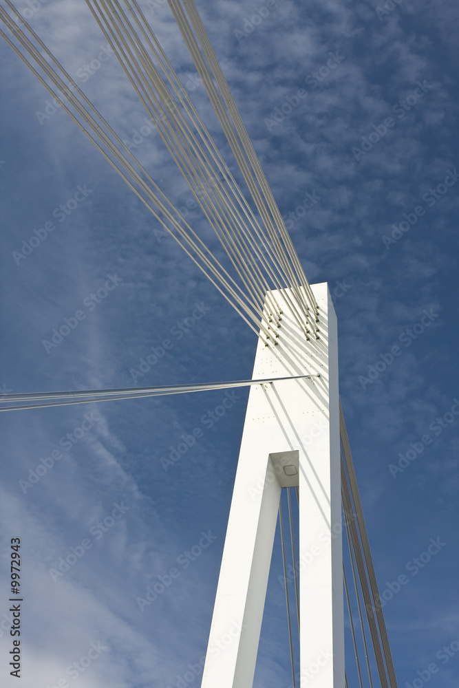 Obraz premium Stalowy most kablowy w Mannheim