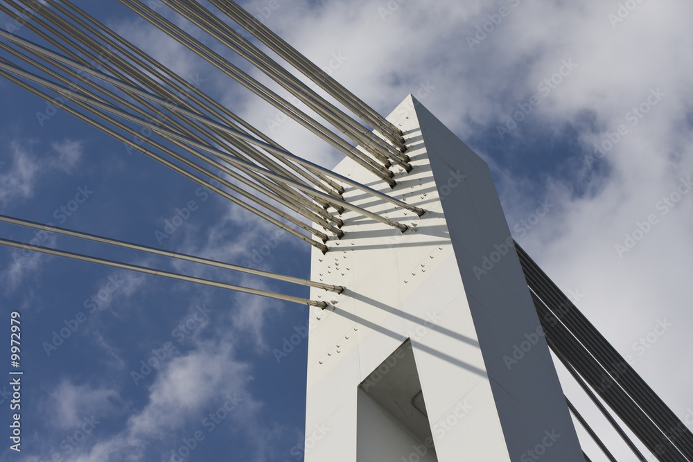 Obraz premium Stalowy most kablowy w Mannheim