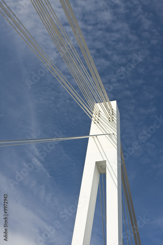 Stahlseilbrücke in Mannheim