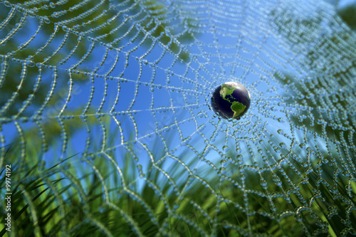 Fotografie World in Wide Web (WWW concept) or Green Environment