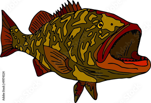 vector - fish gag grouper isolated on white background